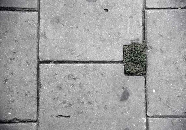 Pavement #12 (2003)