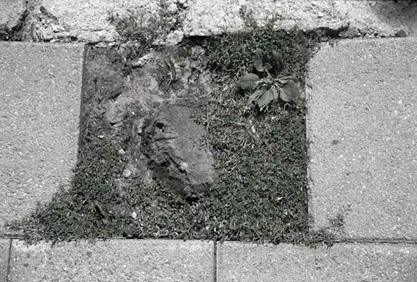 Pavement #32 (2003)
