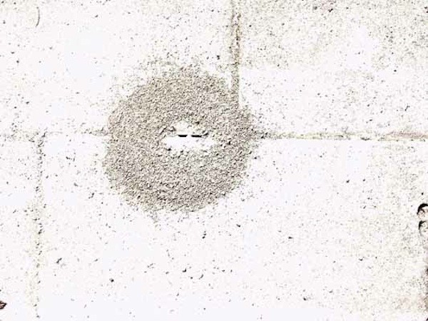Pavement #43 (2003)
