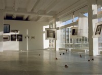 http://www.lukys.lt/files/gimgs/th-13_artterit0200.jpg