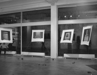 http://www.lukys.lt/files/gimgs/th-13_artterit0220m.jpg