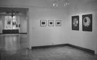 http://www.lukys.lt/files/gimgs/th-13_stokh_ttl0032m.jpg