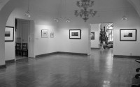 http://www.lukys.lt/files/gimgs/th-13_stokh_ttl0035m.jpg