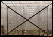 http://www.lukys.lt/files/gimgs/th-14__DSC1706-3.jpg