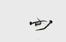 http://www.lukys.lt/files/gimgs/th-19_3_VINYS.jpg