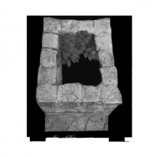 http://www.lukys.lt/files/gimgs/th-24_Drob_2.jpg