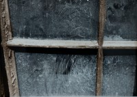http://www.lukys.lt/files/gimgs/th-28_DSC_2480.jpg