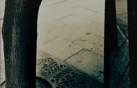 http://www.lukys.lt/files/gimgs/th-28_DSC_2494.jpg