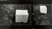 http://www.lukys.lt/files/gimgs/th-28_DSC_2497.jpg