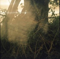http://www.lukys.lt/files/gimgs/th-31_Ektachrom(c-41)001.jpg