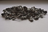 http://www.lukys.lt/files/gimgs/th-31_grybai001.jpg