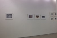 http://www.lukys.lt/files/gimgs/th-9_DSC_2450.jpg